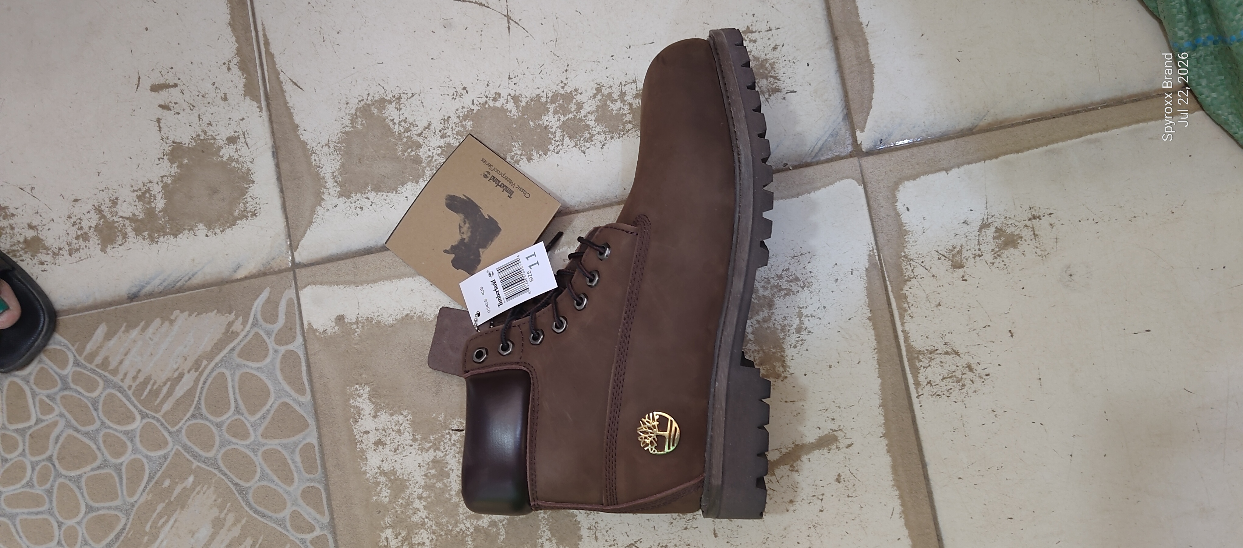 Shoe